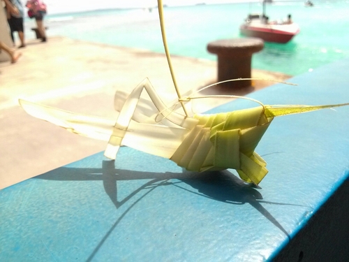 お茶が好き。かなり育児疲れ気味(´Д｀)ﾊｧ…さぁ、今日も頑張るか。。。