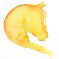 Finnhorseblog (@finnhorse) Twitter profile photo