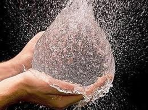 SAPASACOACALCO's profile picture. 