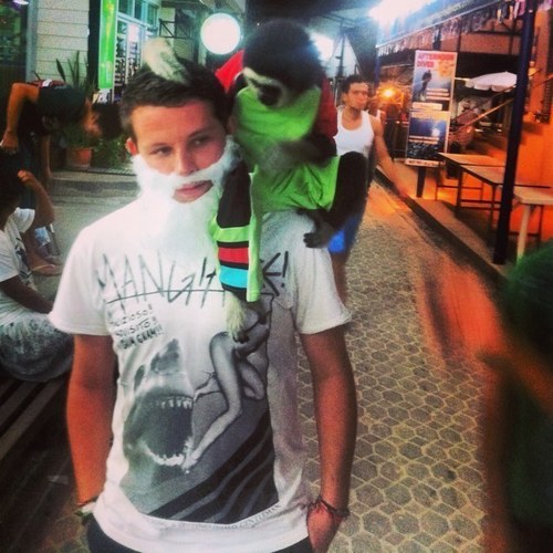 FoxJunk's profile picture. 