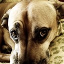 Amber Cason - @amber_cason - Twitter