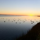 Greg Poole - @thegregpoole - Twitter