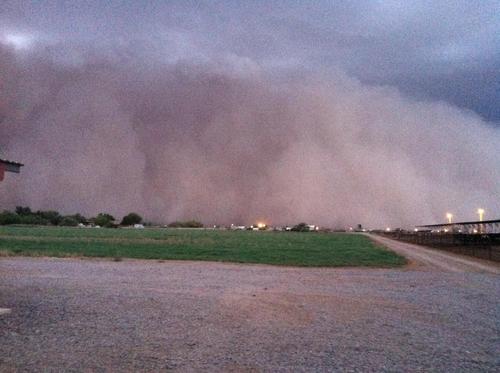 Christian. Married and proud father of three. Arizona dairyman. Americans will complain less if everyone went hungry for a day. Picture is a #AZ haboob!