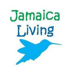 JamaicaLiving's profile picture. Jamaica Living is a company providing business development services, that  bridges the gap between our client’s goals and successful outcomes.