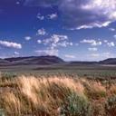 Forrest Faubion - @ForrestFaubion - Twitter