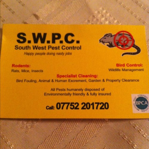 SWPCSwindon's profile picture. Family run Pest Control Company and Cleaning company. Fantastic rates!!