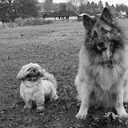 Carolanne Johnson - @Carol74Johnson - Twitter