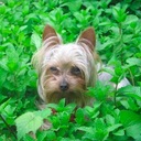 Jan Poe - @janinashville - Twitter