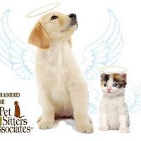 Guarding Your Angels (@heathergya) Twitter profile photo