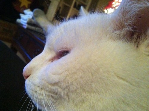 raginbullar's profile picture. 