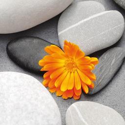 sabridifaz's profile picture. 