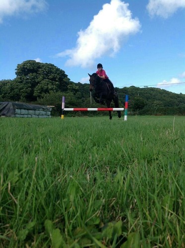 siwan_jones's profile picture. Medical student I Cardiff Uni