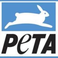 To report animal cruelty, email CIDinfo@peta.org. If you are reporting an animal in imminent danger, call your local police, then PETA at 757-622-7382, opt 2.