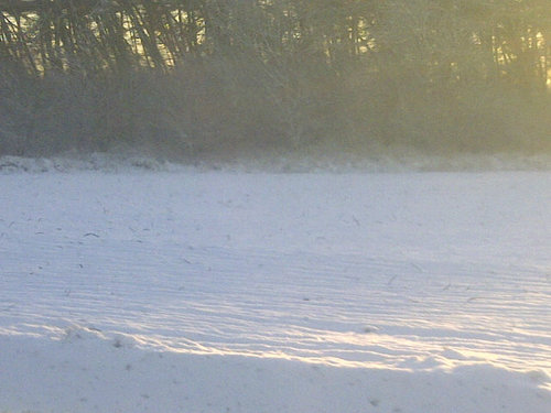 eissosandra's profile picture. 