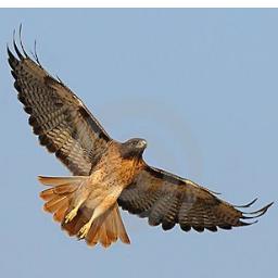 Retro1967's profile picture. 