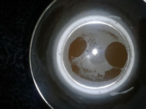 olivayaceituna's profile picture. I should' ve known we'd never get far