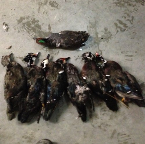 TonyAlford63's profile picture. 