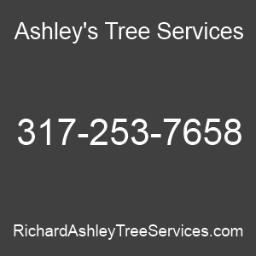 AshleysTreeServ's profile picture. Ashley's Tree Services is the go to tree service in the Indianapolis and surrounding areas since 1987. Call now to get more information about our services.