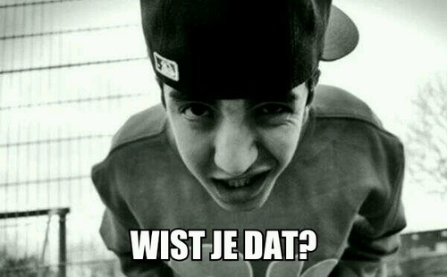 WistJeDatYS's profile picture. Wist-Je-Datjes over @YStijd - Op naar de 80! #TeamYS