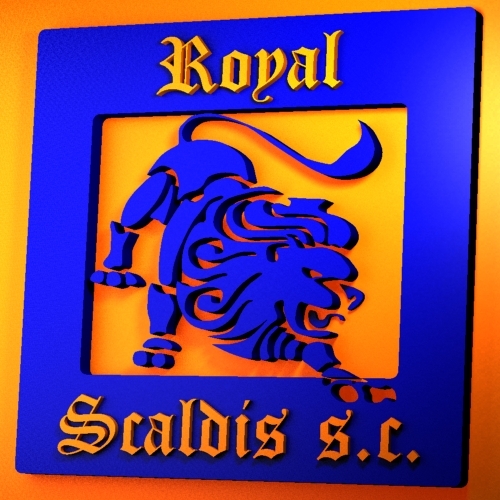 Scaldiskorfbal Profile Picture