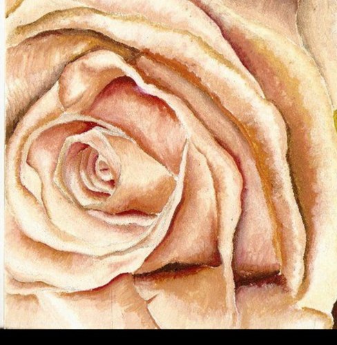 Fhpflowersさんのプロフィール画像
