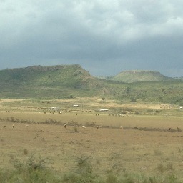 titokinuthia's profile picture. 