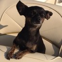 Tim Atwood - @timbatwood - Twitter