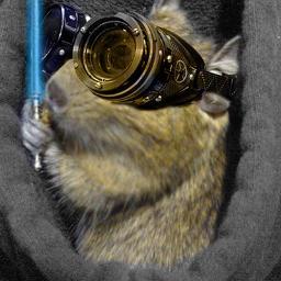 digitaldegu's profile picture. Geek, gamer, lover of LotR, wrestling & rock music. The Secret Purple Power Ranger, Zombie Apocalypse survivor, Level 3 Dungeoneer, Escape Artist Extraordinaire