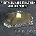 Stephen Pickett - @ttekcipnehpets - Twitter