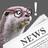 In Otter News