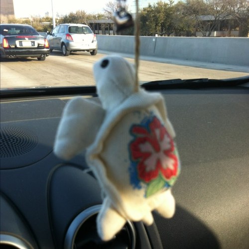 LuciaErin's profile picture. 