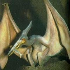 PterrydactylOne's profile picture. Well, like my name suggests, I'm a pterodactyl! Please don't confuse me for that other pterodactyl, Terry...