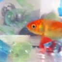 Esme Sutton - @fishbizzness - Twitter