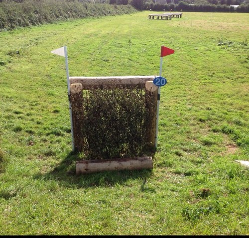Cross Country Course Designer and Eventing Official