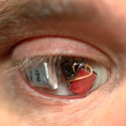 I'm a director with a wireless video camera eye.