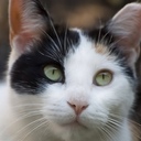 Terry Legg - @tlegg43 - Twitter