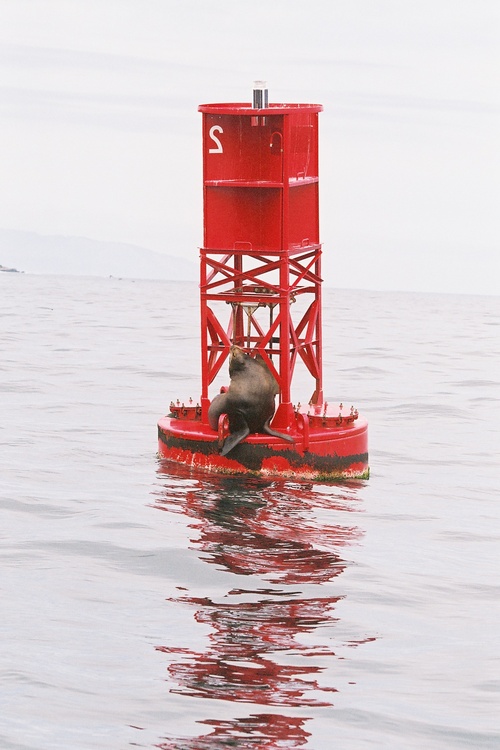 rdhoge's profile picture. 