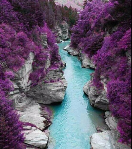 sarah_hummod's profile picture. انا اصغر بنات ابوي ، تجذبني الورود ، احياناً اشك اني

مصاصة دماء ، ما اطلع الا في الليل ، لو يعطوني ميزانية مفتوحة كان تلاقوني فضيت السوق