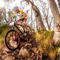 Andy Blair (@andydblair) 's Twitter Profile