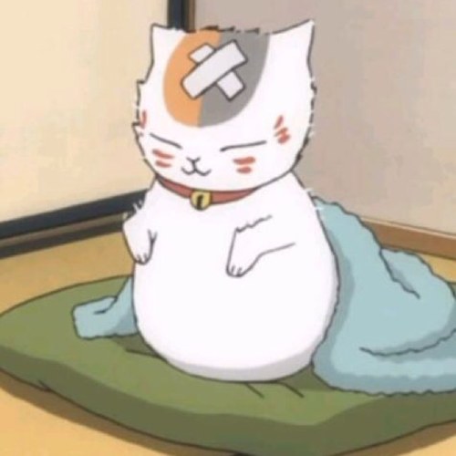 ねこさんのプロフィール画像