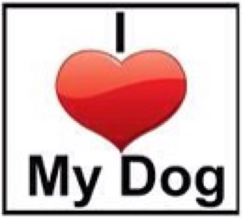 I'm a 9-1- 1 center supervisor and a volunteer firefighter and EMT. I enjoy running agility with my dogs in my free time