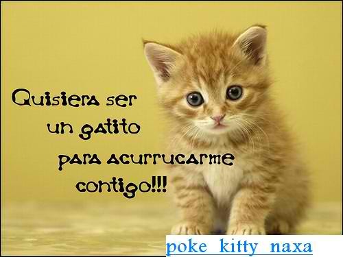 capitan502's profile picture. encantado y aficionado de equipo Barcelona