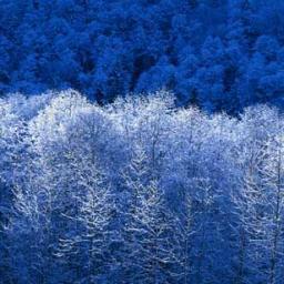 Elizabe52505427's profile picture. 