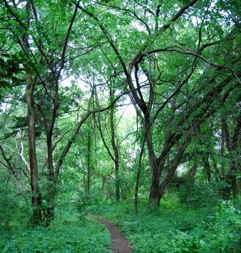 LauraCaldicott's profile picture. 