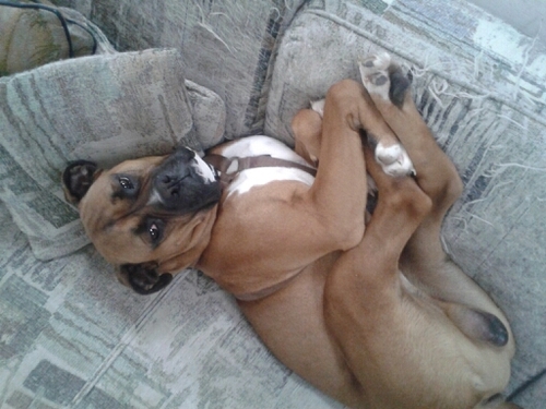 cseguin1970's profile picture. Happily married with two wonderful daughters.