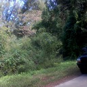 donterrius turner - @turner42_turner - Twitter