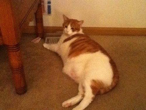 jfrantz65's profile picture. 