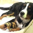 Rick and Lori - @RickandLori - Twitter