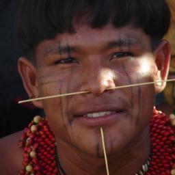 INDIO CRIOU TWITTER POR QUE ACHOU PASSARINHO AZUL BONITINHO!