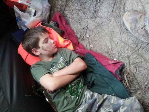 wpmccullough33's profile picture. 